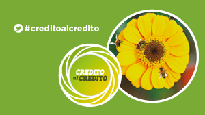 Dare credito, oltre le crisi